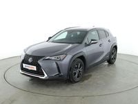 Gebraucht Lexus UX 250h 184 PS (135 kW) 2020 Grau SUV