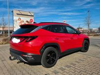 Gebraucht Hyundai Tucson Select 150 PS (110 kW) 2023 Rot SUV