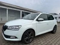 Gebraucht Skoda Fabia Active 75 PS (55 kW) 2019 Weiß Kleinwagen