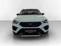 Gebraucht Cupra Ateca 150 PS (110 kW) 2023 Weiß SUV