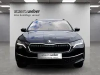 Gebraucht Skoda Octavia 150 PS (110 kW) 2026 Blackmagic perleffekt Kombi