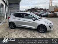 Gebraucht Ford Fiesta Titanium 101 PS (74 kW) 2018 Silber Kleinwagen