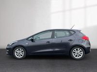 Gebraucht Kia Ceed Edition 7 99 PS (72 kW) 2016 Grau Kleinwagen