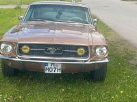 Gebraucht Ford V8 Fastback 203 PS (149 kW) 1967 Gold Coupé