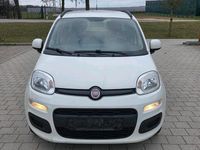 Gebraucht Fiat Panda 75 PS (55 kW) 2014 Weiß Kleinwagen