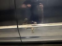 Usata VW Passat 140 CV (102 kW) 2011 Berlina