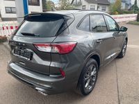 Gebraucht Ford Kuga ST-Line 150 PS (110 kW) 2023 Grau SUV