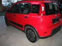 Gebraucht Fiat Panda Red 69 PS (50 kW) 2021 Rot Kombi