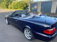 Gebraucht Mercedes CLK230 197 PS (144 kW) 2002 Blau Cabrio