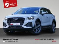 Gebraucht Audi Q2 Advanced Plus 150 PS (110 kW) 2025 Gletscherweiß metallic SUV