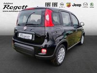 Gebraucht Fiat Panda 69 PS (50 kW) 2024 Schwarz Kleinwagen