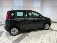 Gebraucht Fiat Panda Mystyle 69 PS (50 kW) 2014 Andere Kleinwagen