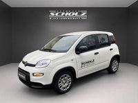Gebraucht Fiat Panda 70 PS (51 kW) 2024 Andere Limousine
