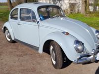 gebraucht VW Käfer 1300 Zenitblau Bj.1967