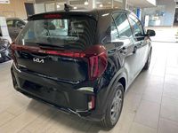 Neu Kia Picanto Vision 63 PS (46 kW) 2025 Astrograu Kleinwagen