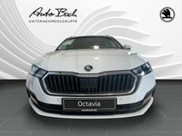 gebraucht Skoda Octavia 1.0 TSI Combi Ambition