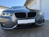 Gebraucht BMW 218 Advantage 150 PS (110 kW) 2020 Grau Cabrio