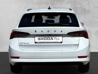 Gebraucht Skoda Octavia Clever 150 PS (110 kW) 2022 Othercolor Kombi