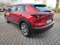 Gebraucht Mazda CX-30 Exclusive-Line 150 PS (110 kW) 2024 Soul red crystal m (metallic) SUV