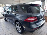 Gebraucht Mercedes ML250 204 PS (150 kW) 2012 Grau SUV