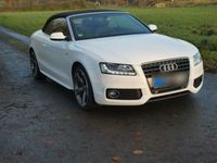 gebraucht Audi A5 Cabriolet 2.7 TDI (DPF) multitronic -