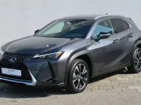 Gebraucht Lexus UX 250h 184 PS (135 kW) 2023 Obsidiangrau metallic SUV