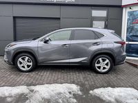 Gebraucht Lexus NX300h 197 PS (144 kW) 2019 Grau SUV