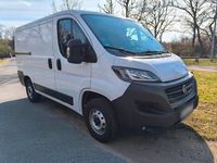 Gebraucht Fiat Ducato 120 PS (88 kW) 2021 Weiß Van