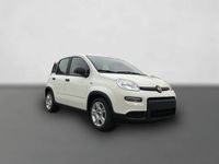 Gebraucht Fiat Panda 69 PS (50 kW) 2024 Weiß Kleinwagen