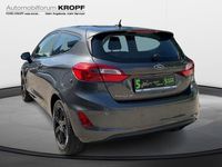 Gebraucht Ford Fiesta Cool & Connect 101 PS (74 kW) 2019 Grau Kleinwagen