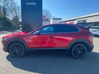 Neu Mazda CX-30 Homura-Line 140 PS (102 kW) 2026 Rot SUV