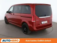 Gebraucht Mercedes V300 AMG Edition 1 239 PS (175 kW) 2020 Hyazinthrot Van / Kleinbus