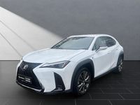 Gebraucht Lexus UX 250h F Sport 184 PS (135 kW) 2024 Weiß SUV