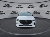 Gebraucht Mazda CX-80 Homura-Line 254 PS (186 kW) 2024 Weiss SUV