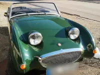 Gebraucht Austin Austin-Healey Sprite 44 PS (32 kW) 1961 Grün Cabrio