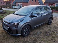 Neu Kia Picanto Vision 63 PS (46 kW) 2025 Grau Kleinwagen
