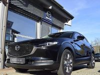 gebraucht Mazda CX-30 2.0 150PS 6AG Selection HUD Kamera Navi Einparksensoren Voll-LED Verkehrszeichen