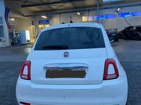 Gebraucht Fiat 500 69 PS (50 kW) 2019 Weiß Kleinwagen