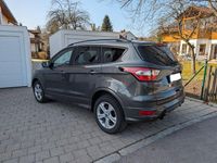 Gebraucht Ford Kuga ST-Line 175 PS (128 kW) 2019 Grau SUV