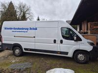 Gebraucht Fiat Ducato 139 PS (102 kW) 2019 Weiß Van