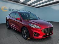 Gebraucht Ford Kuga ST-Line X 150 PS (110 kW) 2023 Rot SUV
