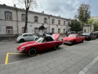 Gebraucht Alfa Romeo Spider Veloce 130 PS (95 kW) 1981 Cabrio