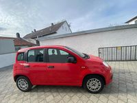 Gebraucht Fiat Panda 2017 Rot Kleinwagen