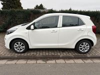 Gebraucht Kia Picanto Attract 67 PS (49 kW) 2018 Weiß Kleinwagen