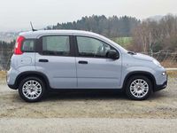 gebraucht Fiat Panda 1.0 GSE Hybrid Tech-Paket, FlexLight-Paket