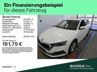 Gebraucht Skoda Octavia Style 116 PS (85 kW) 2023 Candyweiß Kombi