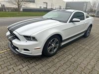 gebraucht Ford Mustang 3,7 Coupe Automatik Xenon Leder