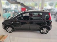 Neu Fiat Panda 69 PS (50 kW) 2025 Schwarz Limousine