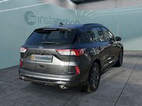 Gebraucht Ford Kuga ST-Line 150 PS (110 kW) 2023 Grau SUV
