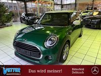Gebraucht Mini Cooper 136 PS (100 kW) 2019 Grün Kleinwagen
